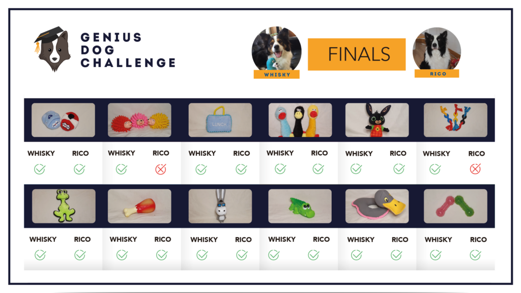 genius-dog-challenge