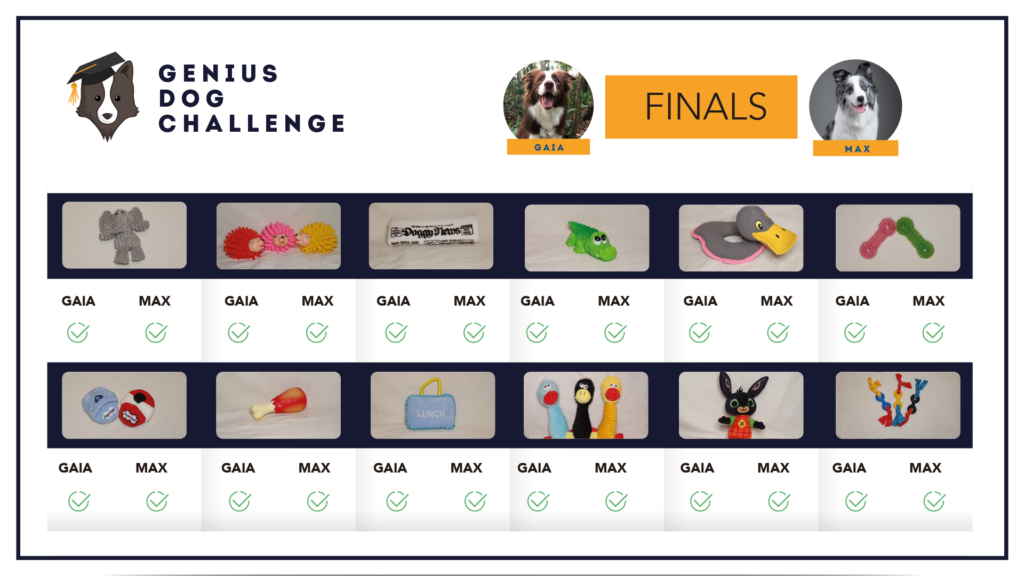 genius-dog-challenge